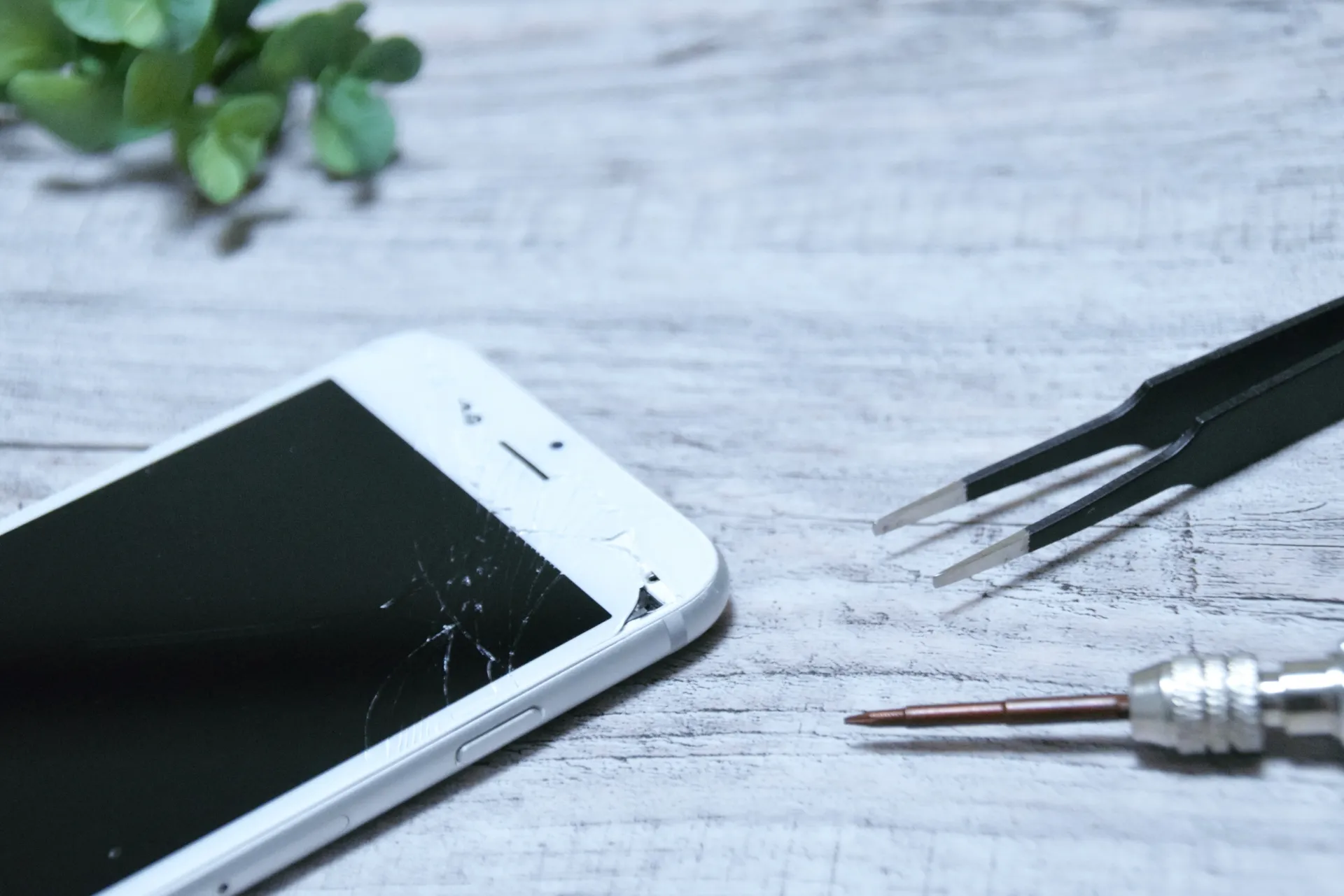 iPhone修理ダイワンテレコムの割引キャンペーンをご紹介!